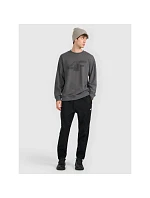 Pánska mikina s kapucňou 4F 4FRMM00TSWSM2479-23M