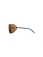 Okuliare JULBO LEGACY REACTIV 2-4 POLAR Okuliare JULBO LEGACY REACTIV 2-4 POLAR