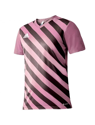 Adidas Entrada 22 Graphic Jersey M HC2633 muži