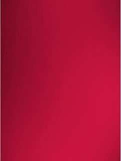 The One Towelling Recycled 100 Plážová osuška „Recycled“ 48.1061 bandera red