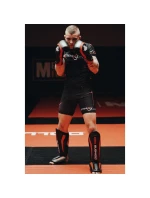 Boxerské rukavice 10oz - Blaze Red - Legacy Series