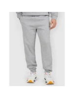 Pánske tepláky typu jogger 4F 4FRAW25TTROM1832-27M