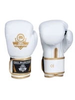 Boxerské rukavice 10oz - Spirit - Valor Series