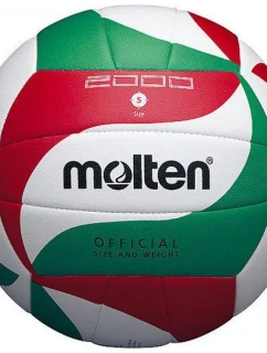 Molten volleyball V5-M2000
