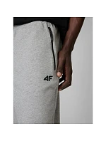 Pánske tepláky typu jogger 4F 4FRMM00TTROM2020-27M