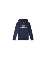 O'Neill Logo Hoodie Jr 92800615001