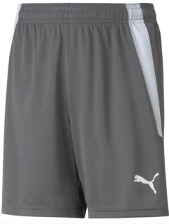 Puma teamLIGA Šortky Jr 704931 13