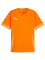Puma teamGoal Matchday Jersey M 705747 08 muži Puma teamGoal Matchday Jersey M 705747 08 muži