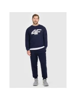 Pánske tepláky typu jogger 4F 4FRMM00TTROM1624-31S