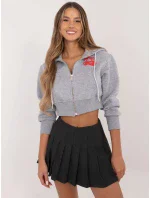 Mikina CLM BL 1331.02P sivá