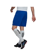 Entrada 22 M pruhované šortky HG6294 - Adidas