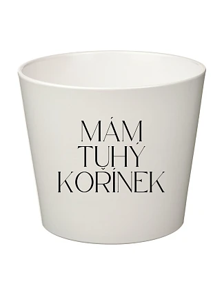 MÁM TUHÝ KOŘÍNEK - velký květináč 