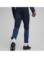 Puma Team Goal Training M nohavice 658639 06