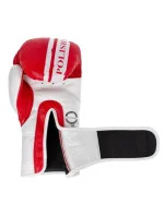 Boxerské rukavice Masters Rbt-PZKB-W 011101-02W Boxerské rukavice Masters Rbt-PZKB-W 011101-02W