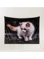 Bavlnená deka Cotton World Touch Animal, Motor 160x200