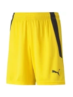Puma teamLIGA Šortky Jr 704931 07 Puma teamLIGA Šortky Jr 704931 07