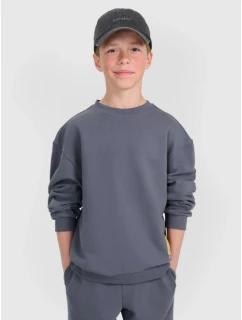 Mikina 4F JUNIOR 4FJRAW25TSWSM2448-22S