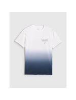 Pánske tričko s potlačou 4F 4FRAW25TTSHM3226-31S