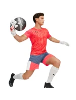 Brankárske rukavice Puma Ultra Play RC 41862 01