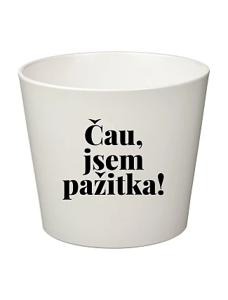 ČAU, JSEM PAŽITKA! - malý květináč 