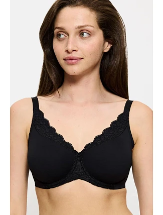 Soft model 229882 Triumph