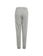 Nohavice adidas Tiro 24 Sweat Jr IS1009