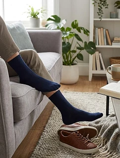 Pánske ponožky Regina Socks Passa