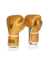 Boxerské rukavice Yakima Tiger Gold V 10 oz 10039510OZ