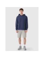 Pánska mikina 4F 4FWSS25TSWSM1749-22S s pánskymi motívmi