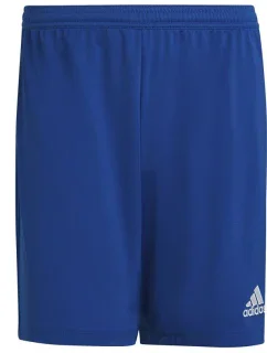 Entrada 22 M pruhované šortky HG6294 - Adidas