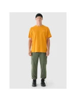 Pánske tričko oversize s potlačou 4F 4FRAW24TTSHM2578-70S