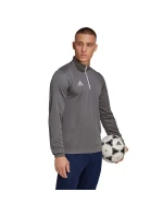Pánske tréningové tričko Entrada 22 M H57546 - Adidas