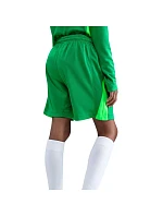 Detské šortky Nike FC Barcelona 2025/26 Stadium Goalkeeper green HQ0475 310