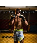 Boxerské rukavice 8oz - Hawk - Origin Series