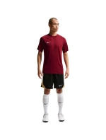 Pánske tričko Nike Dri-Fit Park VIII Burgundy HV8173 677 Pánske Pánske tričko Nike Dri-Fit Park VIII Burgundy HV8173 677 Pánske