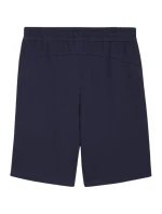 Pánske šortky Puma teamGOAL Casuals navy blue 658608 06