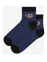 Tenké farebné ponožky 6-11 rokov chlapec 234.N59