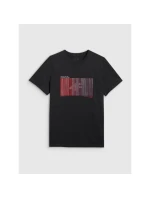 Pánske tričko s potlačou 4F 4FRAW25TTSHM3224-20S