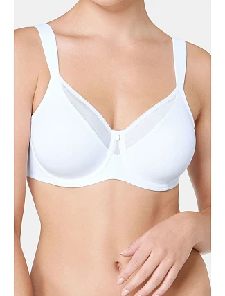 Soft model 229904 Triumph Soft model 229904 Triumph