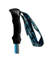 Trekingové palice Spokey Carbon 927900