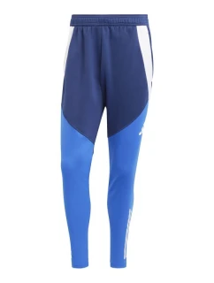 Nohavice adidas Tiro 24 Competition Winterized M IY0124