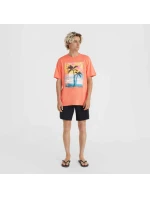 O'Neill Jack Neon T-Shirt M 92800613602