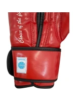 Boxerské rukavice MASTERS RPU-FT (schválené WAKO) Boxerské rukavice MASTERS RPU-FT (schválené WAKO)
