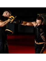 Viacvrstvové boxerské rukavice - ProFighter Gold - Legacy Series