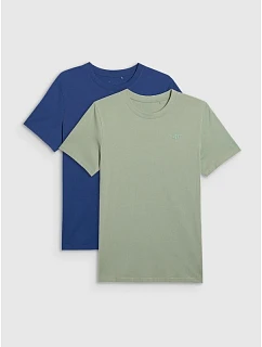 Pánske tričko (SADA 2 tričiek) 4F 4FRMM00TTSHM2705-91S