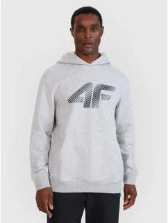 Pánska mikina 4F 4FWMM00TSWSM1766-27M s pánskymi motívmi