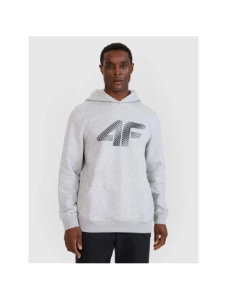 Pánska mikina 4F 4FWMM00TSWSM1766-27M s pánskymi motívmi