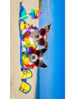 Plážová osuška 100x180