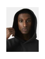 Helly Hansen Core Graphic Sweat Hoodie M 53924 993 Helly Hansen Core Graphic Sweat Hoodie M 53924 993