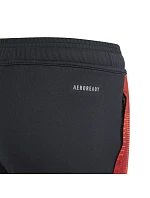 Nohavice adidas Tiro 24 Competition Training Jr IS1638